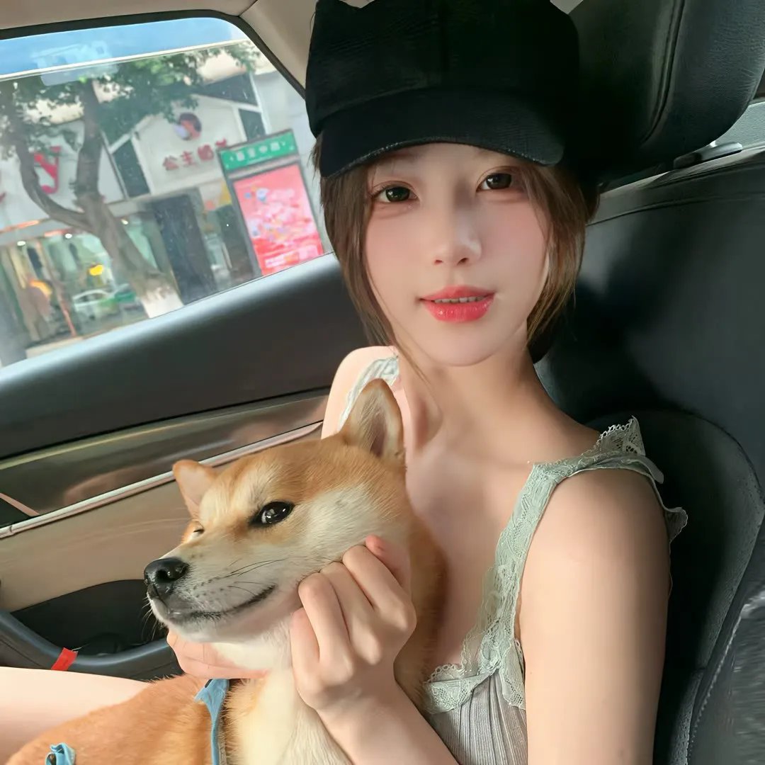 胡同猫